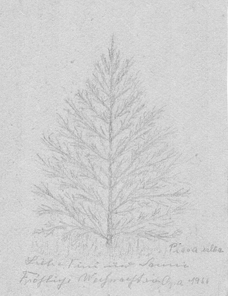 CCF_000483_WeihnachtskarteOpaKuhn1966