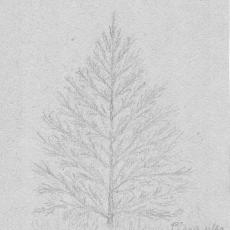 CCF_000483_WeihnachtskarteOpaKuhn1966