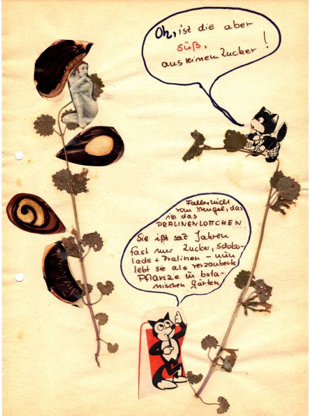 CCF_000465_SilberneHochzeit_1966_01