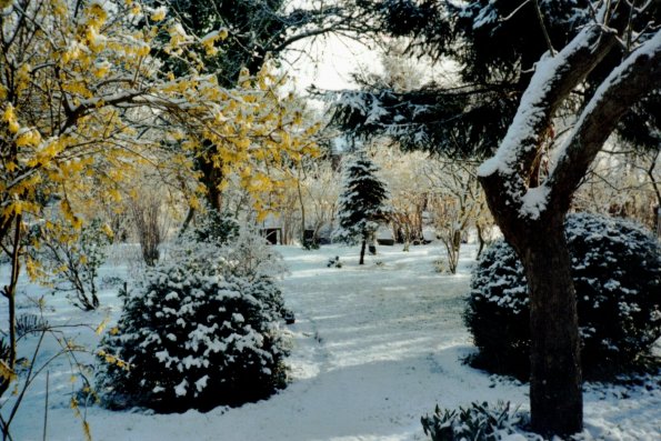 CCF_000382_März_Lübow_2008_Cover007