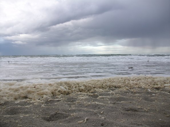 Digital Camera P42001