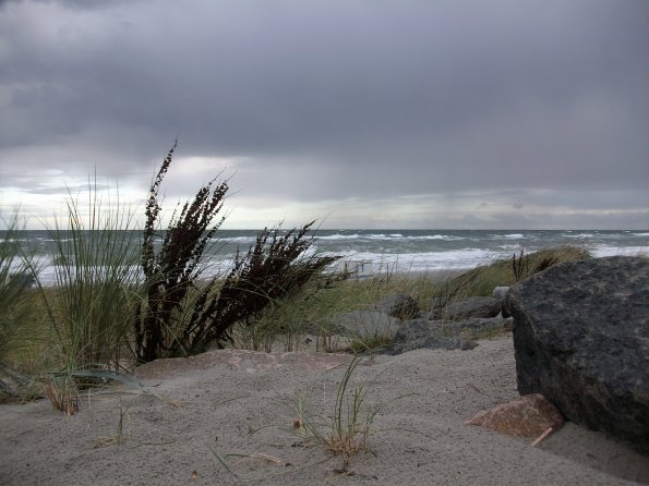 Digital Camera P42001