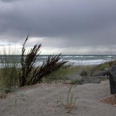 Digital Camera P42001