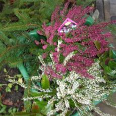 Digital Camera P42001