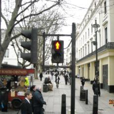 märz2010 250 - Kopie