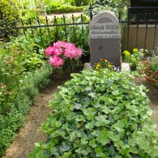 Digital Camera P42001