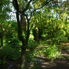 Digital Camera P42001