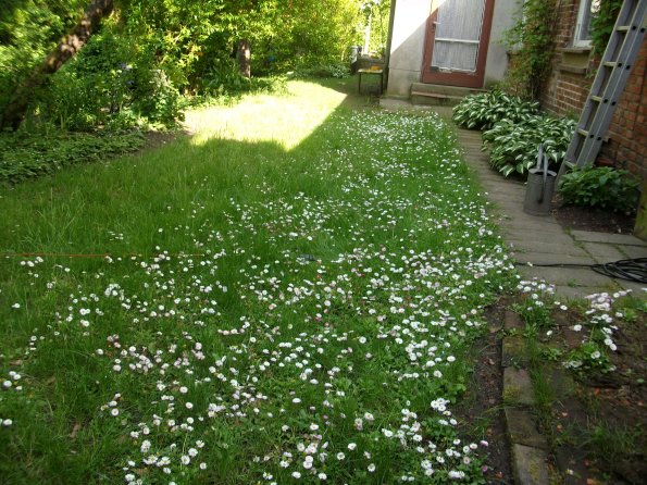 Digital Camera P42001