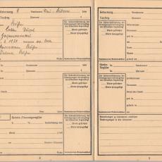 CCF_000047_004_Ahnenpass