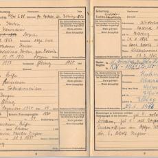 CCF_000047_006_Ahnenpass