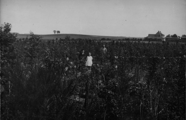 CCF_000001_sandbauer_lotte undOpaKuhn