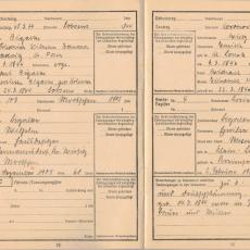 CCF_000047_007_Ahnenpass