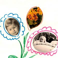 CCF_000461_jungpflanzenaufzucht1955