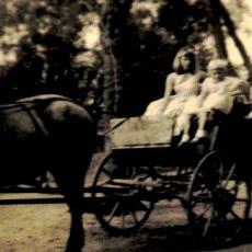 CCF_000463_Pferdekutsche1957