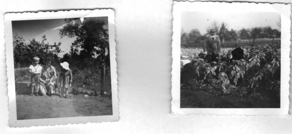 Neu_1_CCF_000185_Suchbilder_Fam.Kuhn und Bösch1957_003