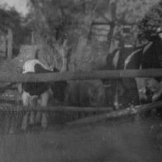 CCF_000297_LoniundBerta_unsereKühe1958