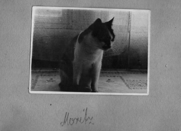 CCF_000304_KaterMoritz_Lübow1960