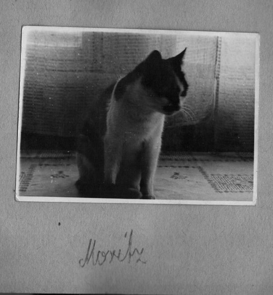 CCF_000305_KaterMoritz02_Lübow1960