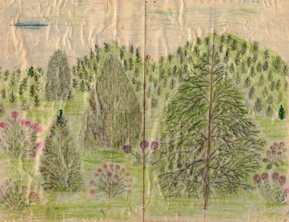 CCF_000124_WillyKuhn1967