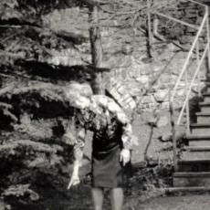 CCF_000501_MuttiKur1985