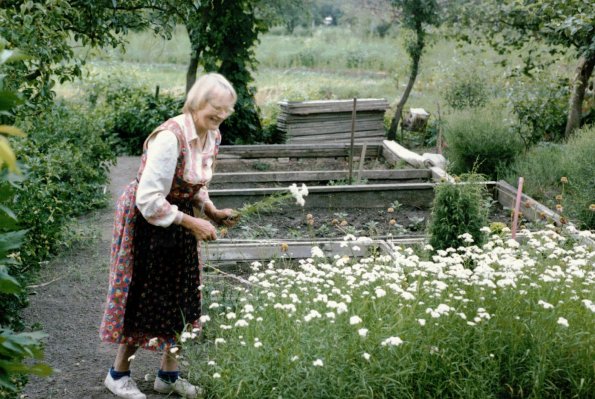 CCF_000090_Lübow1986