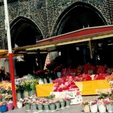 CCF_000572_Lübeck1986_001