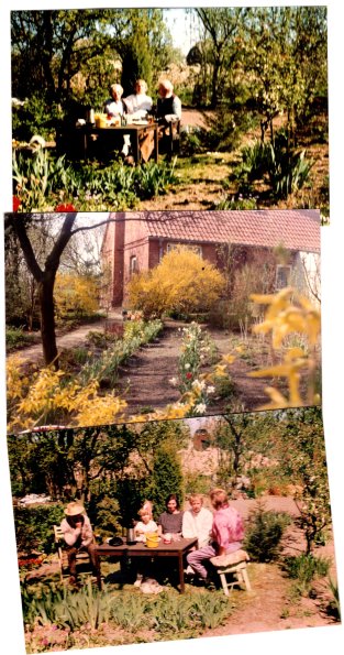 CCF_000214_Lübow_Frühling1988