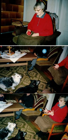 CCF_000094_HummelundBiene1991