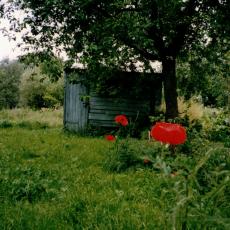 CCF_000096_Lübow1991