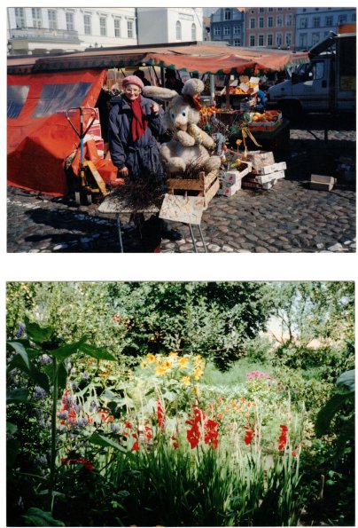 CCF_000347_LotteWochenmarktWismar1991