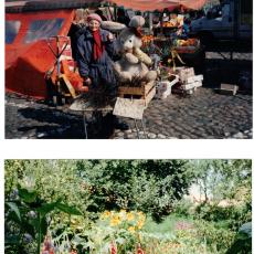 CCF_000347_LotteWochenmarktWismar1991