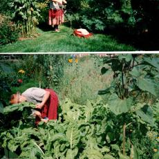 CCF_000441_OmaimGarten1994