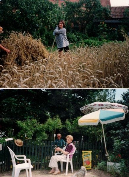 CCF_000443_Lübow1994_01