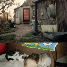 CCF_000100_Lübow1995