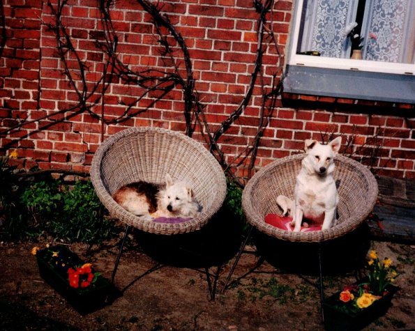 CCF_000446_Wauwackeln200