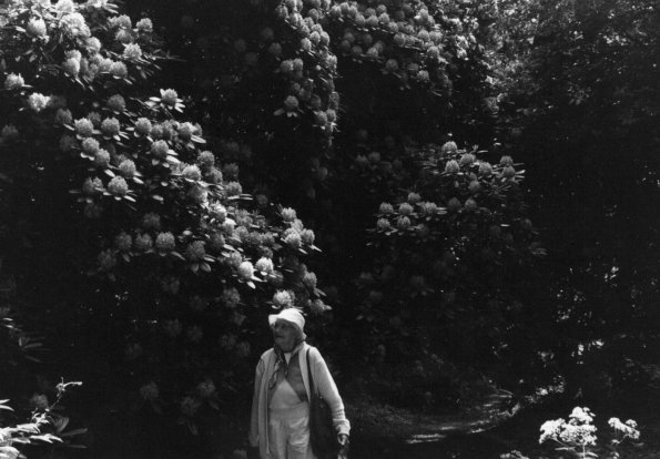 CCF_000451_hasenwinkel2001_02