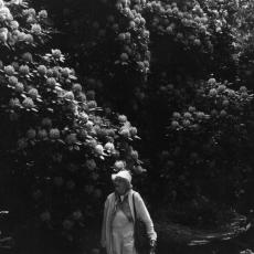 CCF_000451_hasenwinkel2001_02