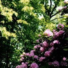 CCF_000455_Hasenwinkel2001_04