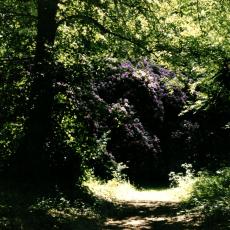 CCF_000456_hasenwinkel2001_05