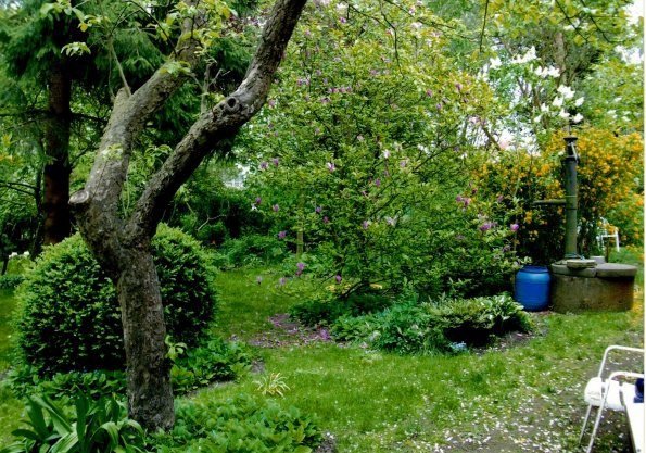 CCF_000575_Lübow_2002_001