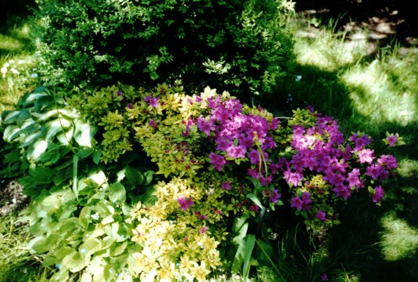 CCF_000626_garten2002