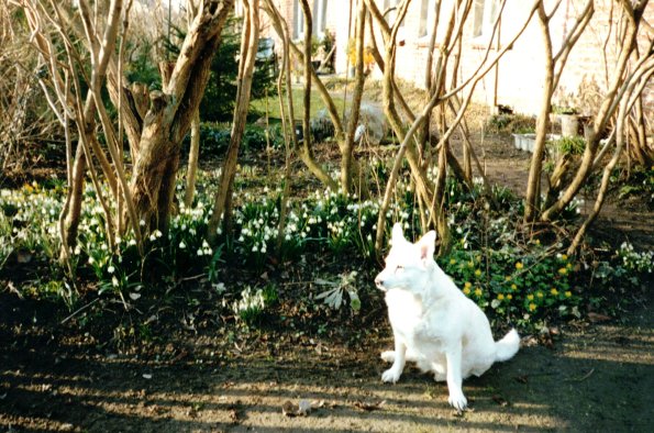 CCF_000630_frühjahr2002