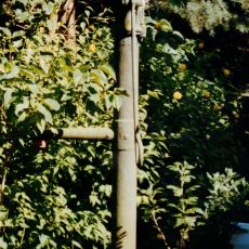 CCF_000014_garten_2004