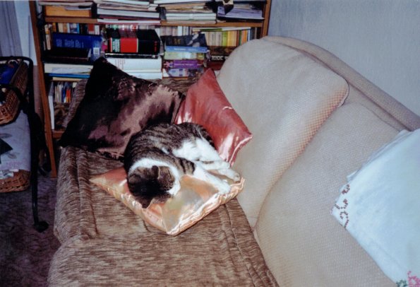 CCF_000593-2004 Lübow