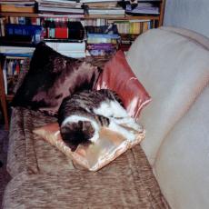 CCF_000593-2004 Lübow