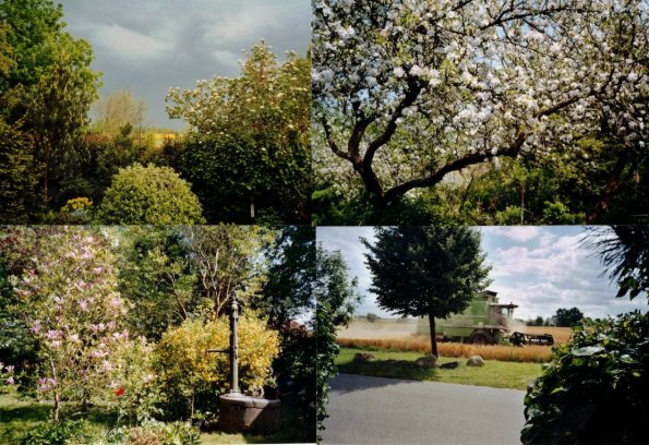 CCF_000365_FrühsommerLübow2005