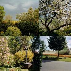 CCF_000365_FrühsommerLübow2005