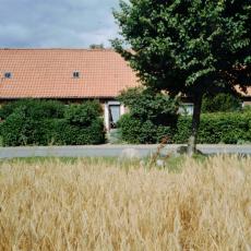 CCF_000515_2005_Sommer