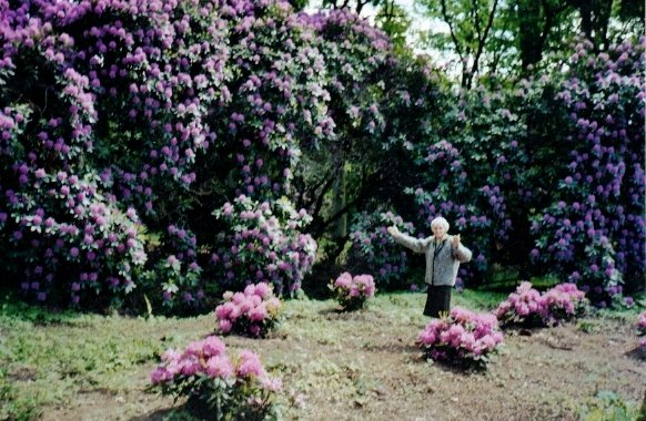 CCF_000044_Hasenwinkel_2006