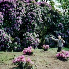 CCF_000044_Hasenwinkel_2006